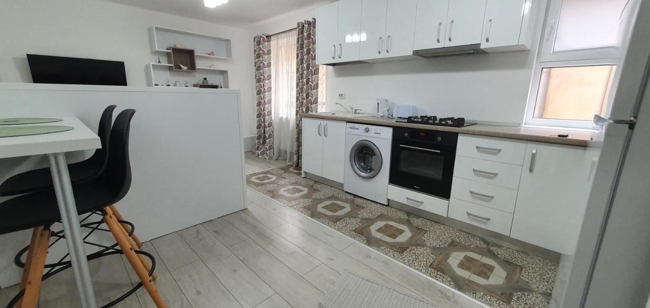 Apartament Nehoiu apartament Zewnętrze zdjęcie