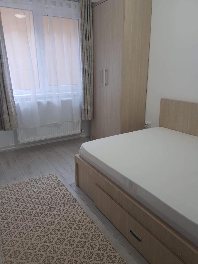 Apartament Nehoiu apartament Zewnętrze zdjęcie